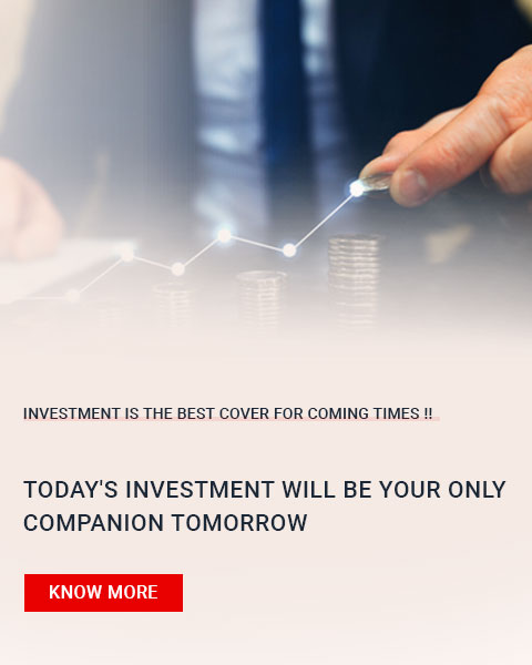 Invest in the best cover