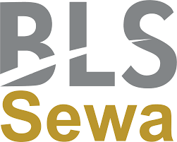 BLS E-Services IPO